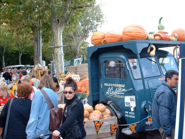 Annual pumpkin fair