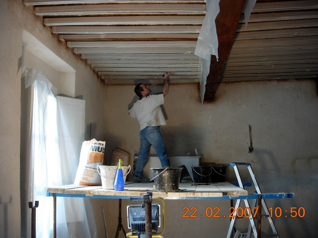 Salon - original ceiling plastering