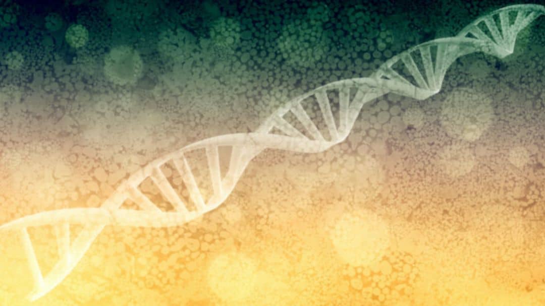 Genetic technologies Afritap Newsletter#3