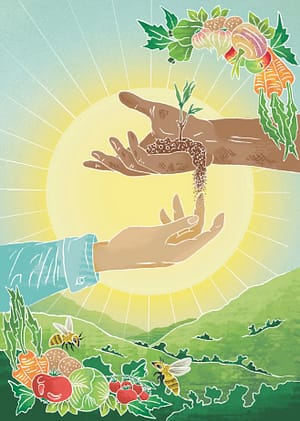 Agroecology - hands